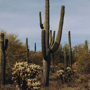 Meet your Posher, Karissa